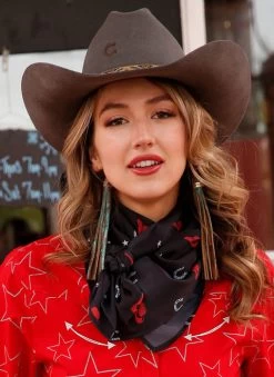 Cruel Denim Wild Rags 5 Cruel Denim Wild Rags -Ariat Store horseshoe wild rag black horseshoe CXX7207018 cruel 50232.1676945813