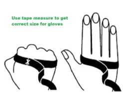 Heritage Carriage Driving Gloves -Ariat Store sizing image 22642.1643492011